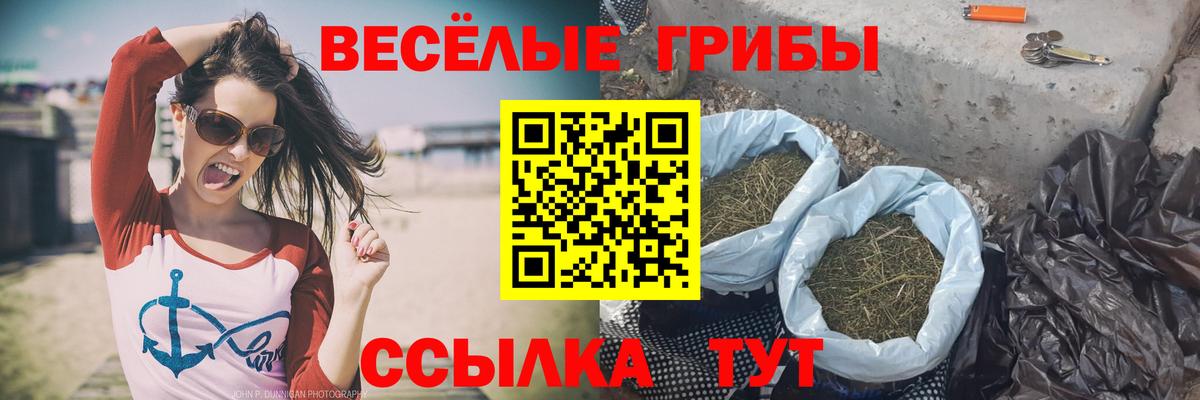 Псилоцибиновые грибы GOLDEN TEACHER  Вход с VPN  Галлюциногенные грибы ЛСД  Богородицк 