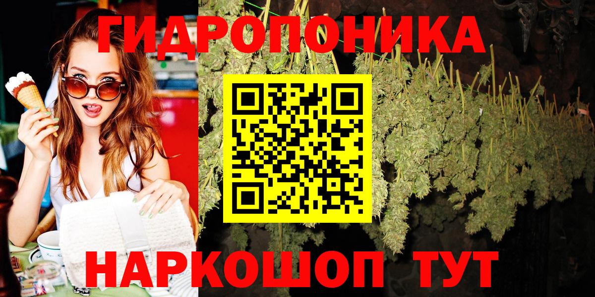 Каннабис план Богородицк